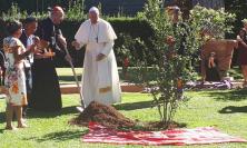 Pope Francis plants a tree in the Vatican Gardens in a Service to dedicate the Synod of Bishops for the Pan-Amazon Region to St Francis of Assisi (Photo: Julian Filochowski)