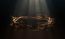 Photo of crown of thorns by Nik Shuliahin on Unsplash