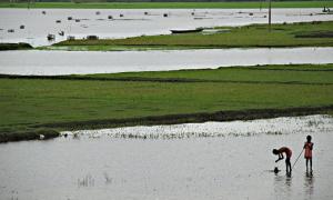 Photograph of flooding in Bangladesh