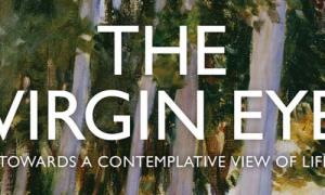 Cover of 'The Virgin Eye'